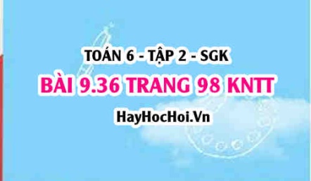 Bài 9.36 trang 98 Toán 6 Tập 2 Kết nối tri thức